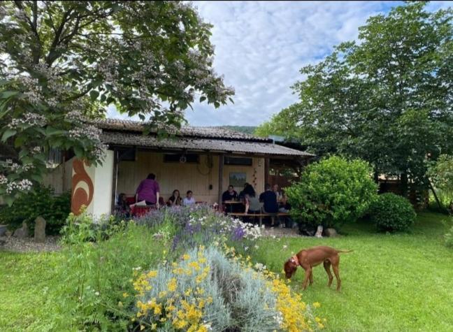 Kemenate Zimmer Gechaichnishof 7Born Maring-Noviand Esterno foto
